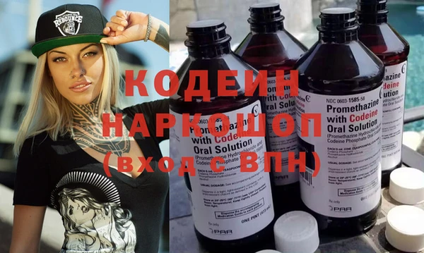 соль ск Ветлуга