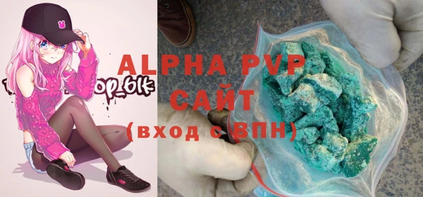 прущие грибы Чита
