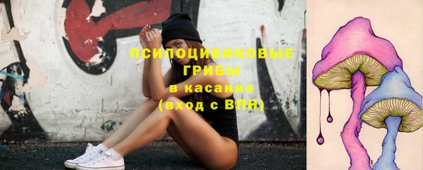 jwh Болохово