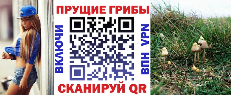 Псилоцибиновые грибы MAGIC MUSHROOMS Волоколамск
