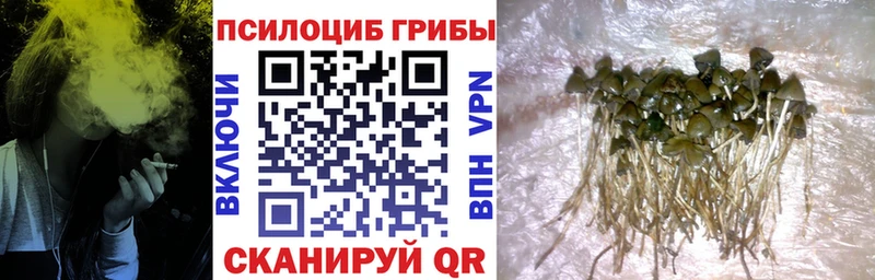 Галлюциногенные грибы GOLDEN TEACHER Волоколамск