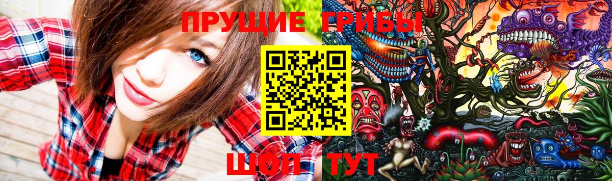 Галлюциногенные грибы мухоморы  Волоколамск 